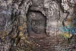 photo thumbnail #12