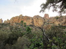 photo thumbnail #6