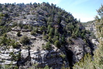 photo thumbnail #6