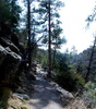 photo thumbnail #9
