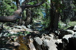photo thumbnail #7