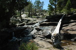 photo thumbnail #9