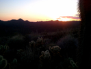 photo thumbnail #10