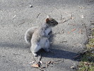 photo thumbnail #11