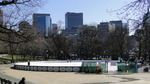 photo thumbnail #13