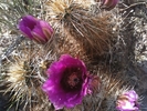 photo thumbnail #6