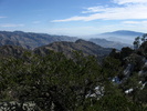 photo thumbnail #11