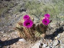 photo thumbnail #1