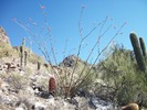 photo thumbnail #3