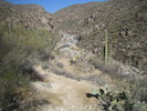 photo thumbnail #2