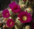 photo thumbnail #1