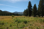 photo thumbnail #10