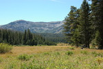 photo thumbnail #11