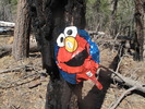 photo thumbnail #8