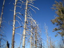 photo thumbnail #4