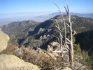 photo thumbnail #6