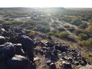 photo thumbnail #10