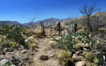 photo thumbnail #1