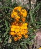 photo thumbnail #15