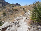 photo thumbnail #4