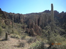 photo thumbnail #4