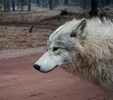 photo thumbnail #8