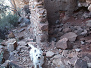 photo thumbnail #3