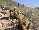 photo thumbnail #4