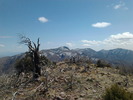 photo thumbnail #9
