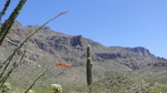 photo thumbnail #2