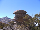photo thumbnail #1