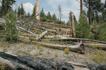 photo thumbnail #9