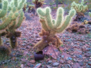photo thumbnail #15