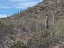 photo thumbnail #3