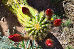 photo thumbnail #5