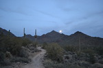 photo thumbnail #5