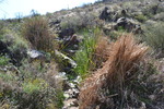 photo thumbnail #3