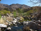 photo thumbnail #15
