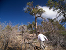 photo thumbnail #10