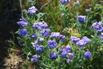 photo thumbnail #13
