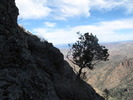 photo thumbnail #13