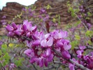 photo thumbnail #10