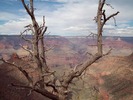 photo thumbnail #13