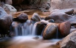 photo thumbnail #12