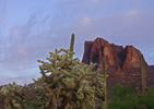 photo thumbnail #1