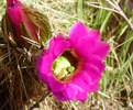 photo thumbnail #4