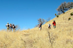 photo thumbnail #10