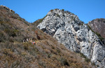 photo thumbnail #15