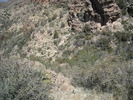 photo thumbnail #7