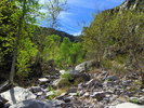 photo thumbnail #9